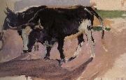 Joaquin Sorolla Bull Project oil on canvas
